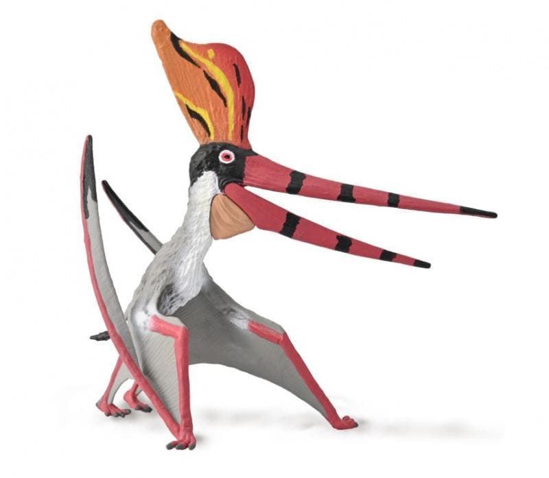 Pteranodon  Sternbergi con mandíbula móvil - Imagen 1