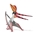 Pteranodon  Sternbergi con mandíbula móvil - Imagen 1