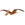 Pteranodon - Imagen 1