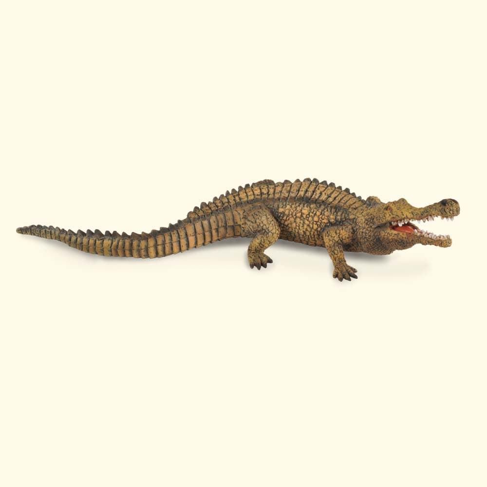 Sarcosuchus - Imagen 1