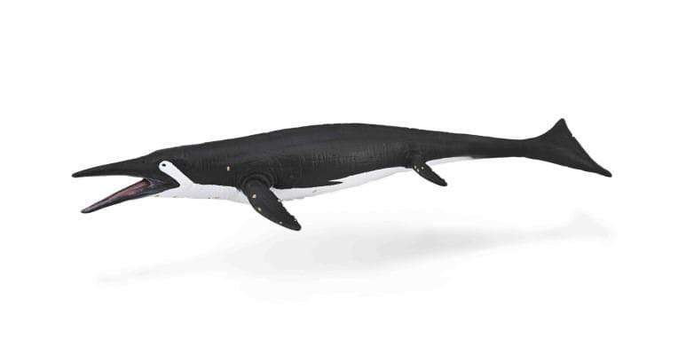 Shastasaurus - Imagen 1