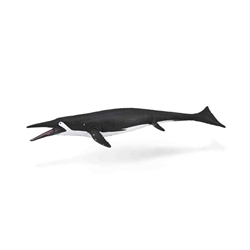 Shastasaurus - Imagen 1