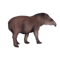 Tapir Brasileño - Imagen 1