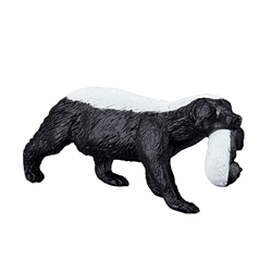 Tejon con cria - Imagen 1