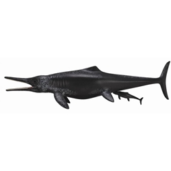Temnodontosaurus Platydon+cría naciendo - Imagen 1