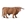 Toro de las Tierras Altas - Imagen 1