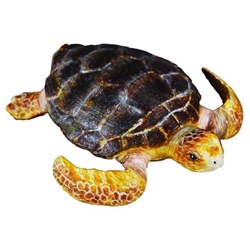 Tortuga boba - Imagen 1