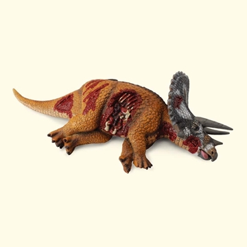 Triceratops herido - Imagen 1