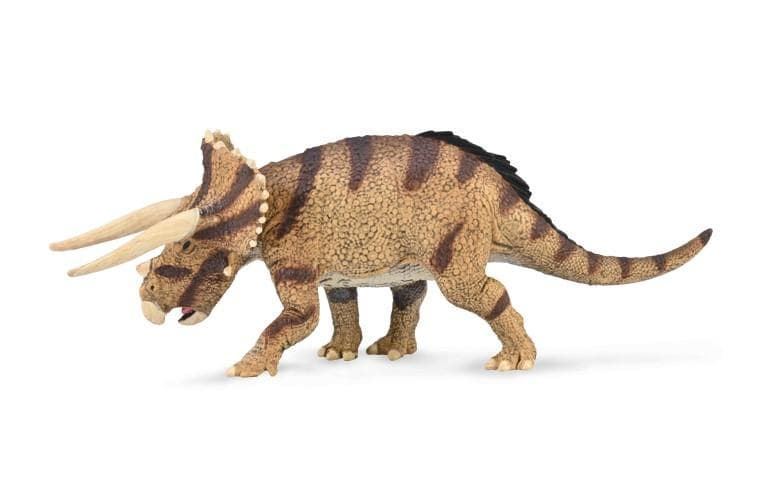 Triceratops horridus enfrentado - Imagen 1