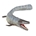 Tylosaurus - Imagen 1