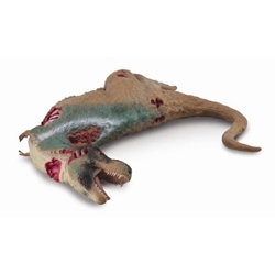 Tyrannosaurius Rex cadáver - Imagen 1