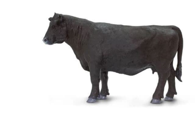 Vaca Angus De Juguete Safari 160829 - Imagen 1
