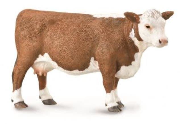 Vaca Hereford - Imagen 1