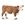 Vaca Hereford - Imagen 1