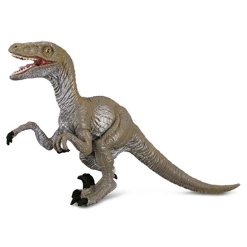 Velociraptor - Imagen 1